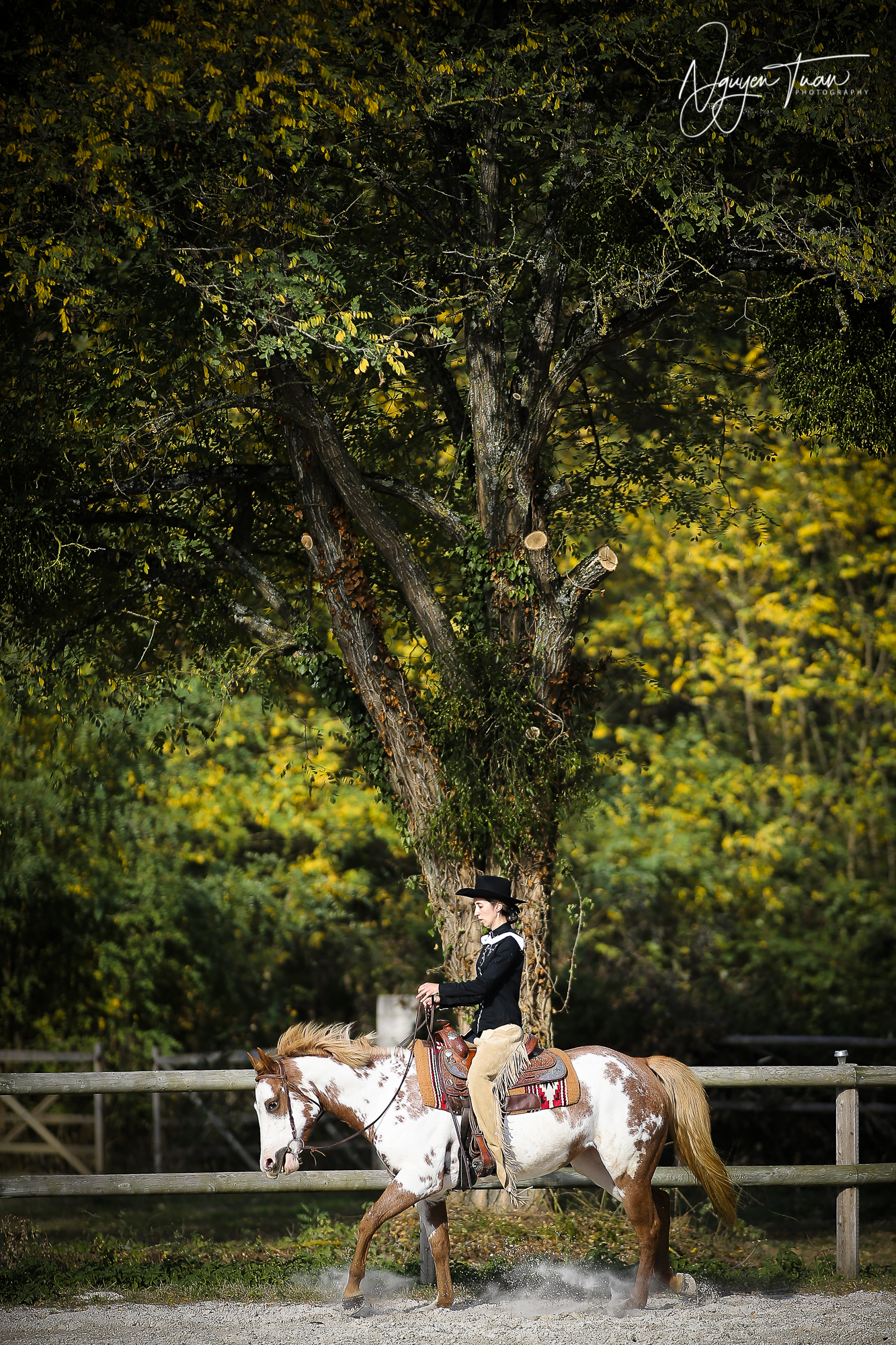 American Horse    0439